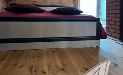 Купить дом, Дворцы, Речицкий с/с, 25 соток. Фото 16