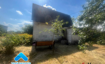 Купить дачу, Поколюбичи, СТ НОД-4 Сож-Плёсы-1, 8.82 соток. Фото 4