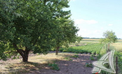 Купить участок, Ставище, Мотыкальский с/с, 24.72 соток. Фото 10