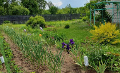 Купить дом, Свислочь, Клименко ул., 24.93 соток. Фото 10