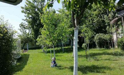 Купить коттедж, Красная Слобода, Советская, 23 соток. Фото 20