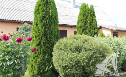 Купить дом, Ракитница, Ракитницкий с/с, 20.91 соток. Фото 23