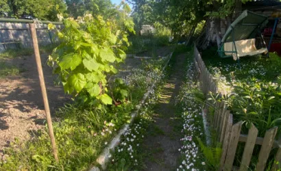  2-этаж.(54 м2), Островы(Полевая)