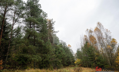 Купить дом в деревне, Зеленый дол, 4.37 соток. Фото 32