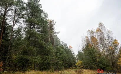  2-этаж.(89.4 м2), Зеленый дол