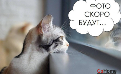Купить 1-комнатную квартиру, Минск, Савицкого ул., 23 (Октябрьский район). Фото 3