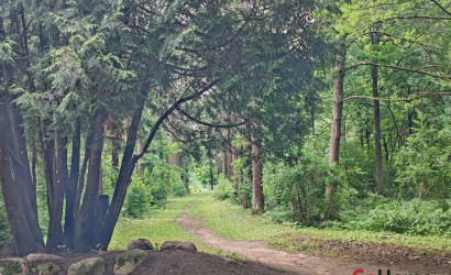 Купить коттедж, Лужесно, Листвиничная, 14 соток. Фото 13