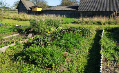 Купить дом в деревне, Трасеченяты, 32, 45 соток. Фото 11