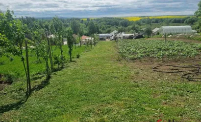  1-этаж.(60.9 м2), Ваньковщина