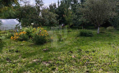 Купить участок, Мара, 10 соток. Фото 3