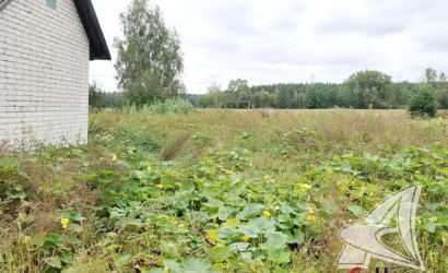 Купить участок, Чижевщина, Ленинский с/с, 18.23 соток. Фото 3