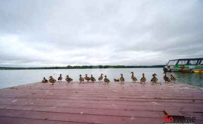 Купить 4-комнатную квартиру, Минск, Ратомская ул., 26 (Центральный район). Фото 34