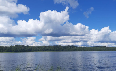 Купить дом, Большое Ситно, 11 соток. Фото 15