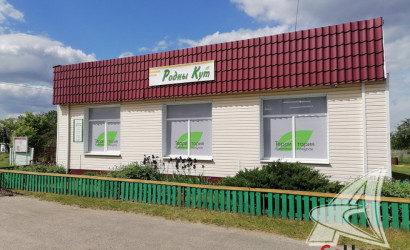 Купить дом, Большие Радваничи, Радваничский с/с, 25 соток. Фото 10