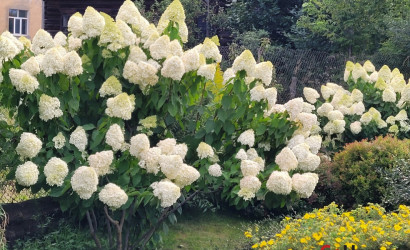 Купить дом, Быхов, ул Куйбышева дом 45, 8 соток. Фото 17