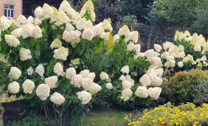  1-этаж.(70 м2), Быхов(Куйбышева дом 45)