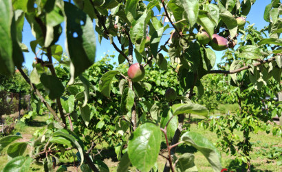 Купить дом в деревне, ЛЕСНОЕ-90, Сиреневая, 160, 8.92 соток. Фото 28