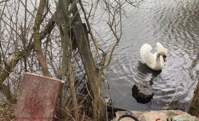 Купить дом, Ляховичи, Спокойный, 14.9 соток. Фото 16