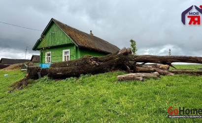 Купить дом, Доры, Белорусская ул., 24 соток. Фото 3