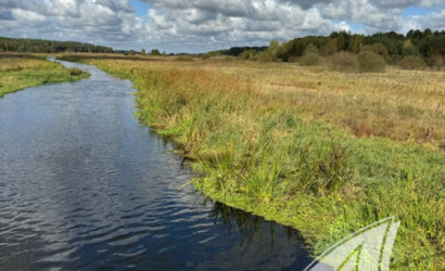 Купить дом, Дворцы, Речицкий с/с, 25 соток. Фото 26