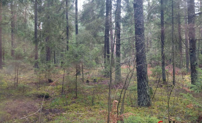 Купить дом в деревне, ДАЛЬНИЙ ОСТРОВ, 9 соток. Фото 27