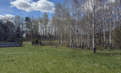 Купить участок, Шпаковщина, Полевая ул., 20, 98 соток. Фото 10