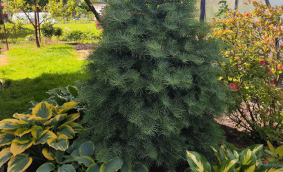 Купить дом в деревне, АЭРОФЛОТ, 6.04 соток. Фото 26