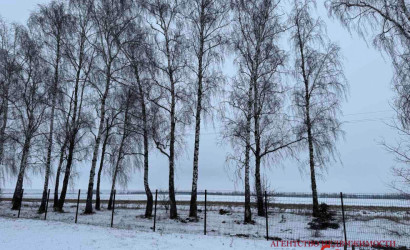 Купить коттедж, Остромечево, Брестская, 15 соток. Фото 16