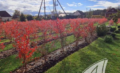 Купить дом, Рыбна, Киселевецкий с/с, 25 соток. Фото 9