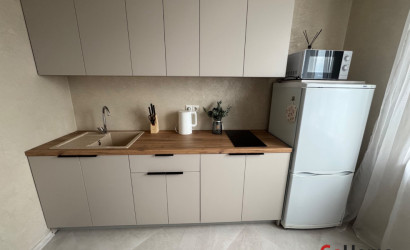 Снять 1-комнатную квартиру на сутки, Боровляны, Троицкая, 43. Фото 13