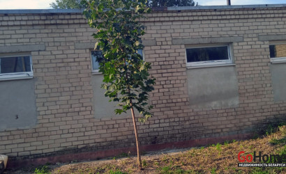 Продажа помещения, Чепели, улица Школьная дом 25., 241.6 кв.м.. Фото 3
