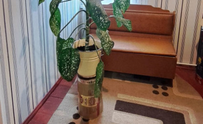 Купить дом, Витебск, 3-я Прядильная, 6.26 соток. Фото 5