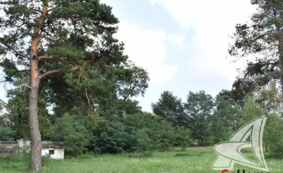 Купить дом в деревне, Приборово, Томашовский с/с, 20.79 соток. Фото 12