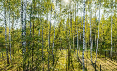 Купить дом, Колодищи, Березовая Аллея ул., 4 соток. Фото 21