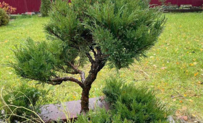 Купить дом в деревне, МЕДИК, 6.22 соток. Фото 33