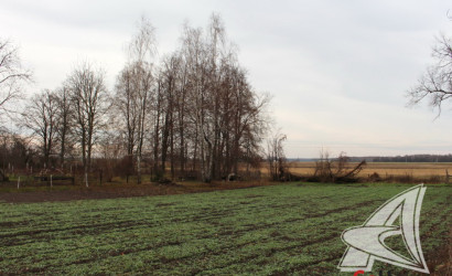 Купить участок, Збироги, Чернинский с/с, 24.63 соток. Фото 2