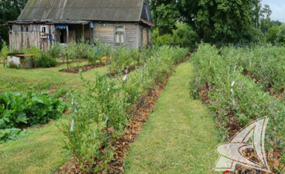 Купить дом, Рыбна, Киселевецкий с/с, 25 соток. Фото 2