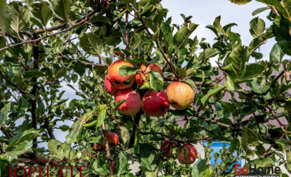 Купить коттедж, Заславль, Приморская, 18, 15 соток. Фото 30