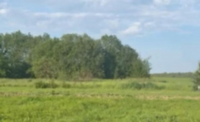 Купить дом, Козлы, 15 соток. Фото 5