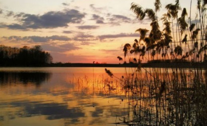 Купить дом, Суромщина, 25 соток. Фото 22