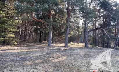 Купить участок, Брест, Сад. товарищества, 13.11 соток. Фото 24