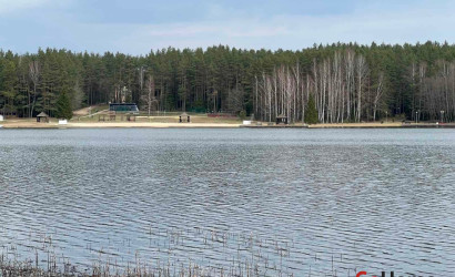 Купить участок, Будачи, 45 соток. Фото 7