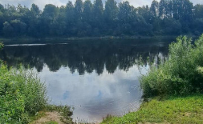 Купить дачу, Витебск, 1-я Гладкая, 7.56 соток. Фото 9