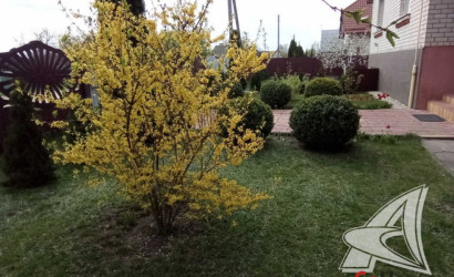 Купить дом, Ленинский, Ленинский с/с, 19.26 соток. Фото 23