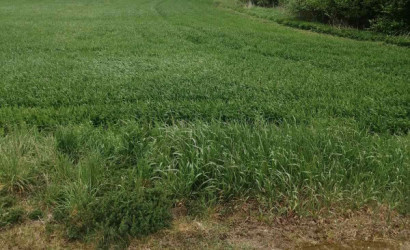 Купить участок, Придыбайлы, 9, 25 соток. Фото 5