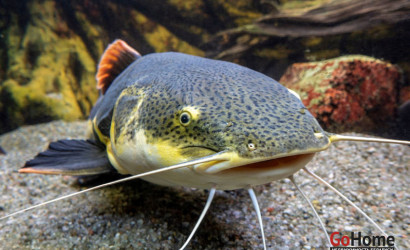 Купить 2-комнатную квартиру, Пинск, улица Брестская, 112. Фото 15