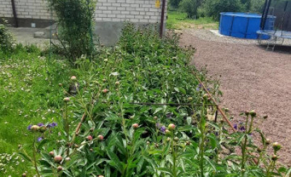 Купить дом, Городок, Заводская, 15 соток. Фото 18