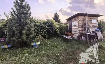  1-этаж.(50.1 м2), Березняки(Пелищенский с/с)