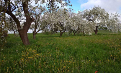 Купить дом, Малиновка д.,  39, 25 соток. Фото 4