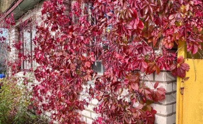 Купить дом в деревне, 40 лет Октября, 7 соток. Фото 15